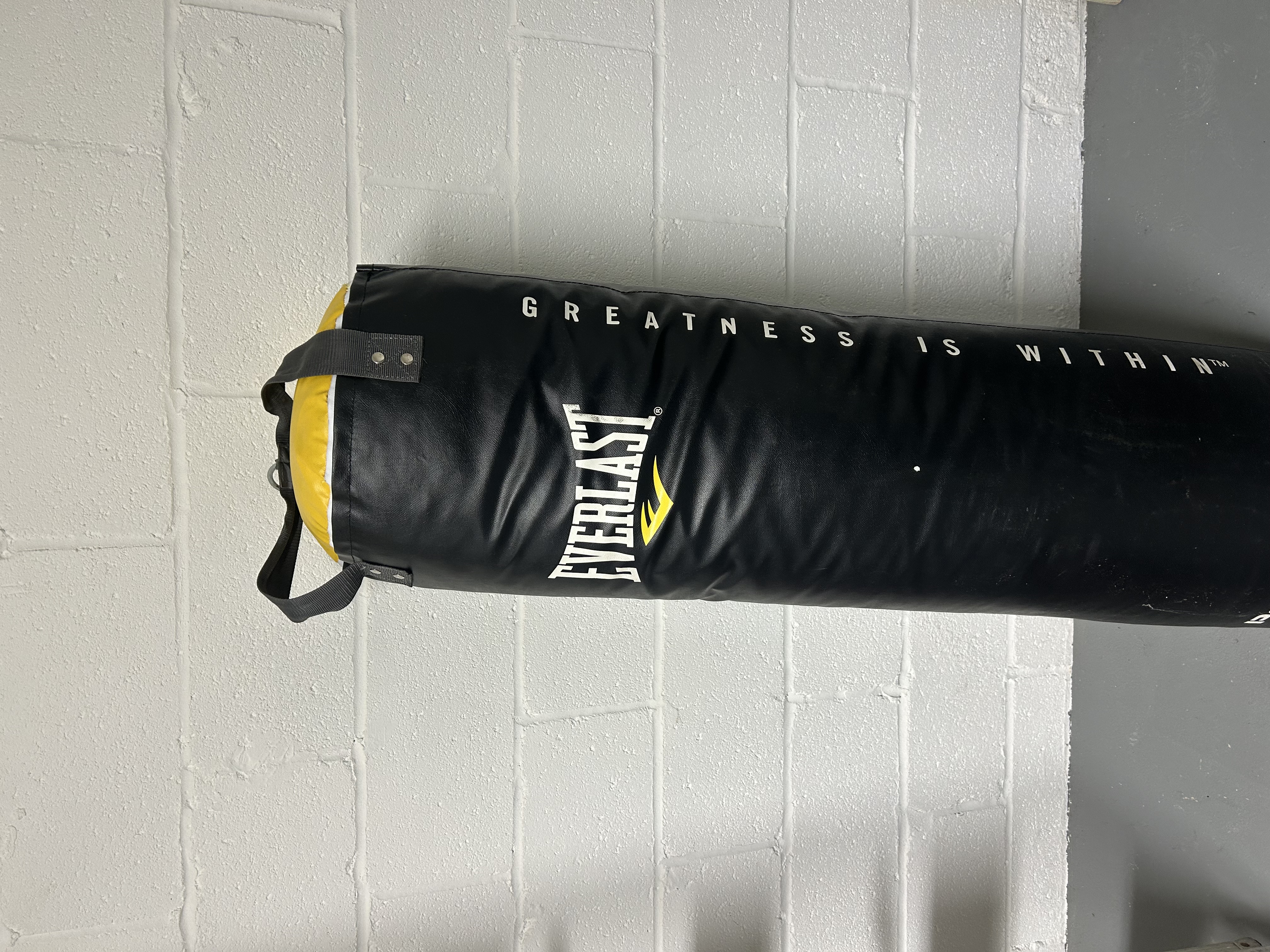 Boxing Punching Bag and Gloves